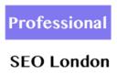 Professional SEO London Ltd. logo